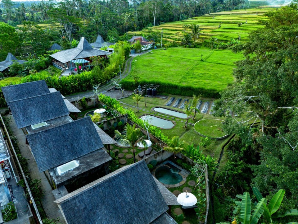 Property building, Spring, Day, Natural landscape, Bird's eye view, Garden, Garden view