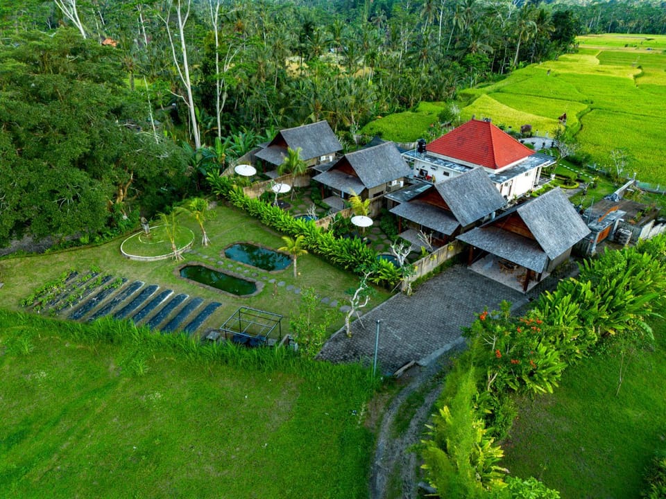 Property building, Spring, Day, Natural landscape, Bird's eye view, Garden, Garden view
