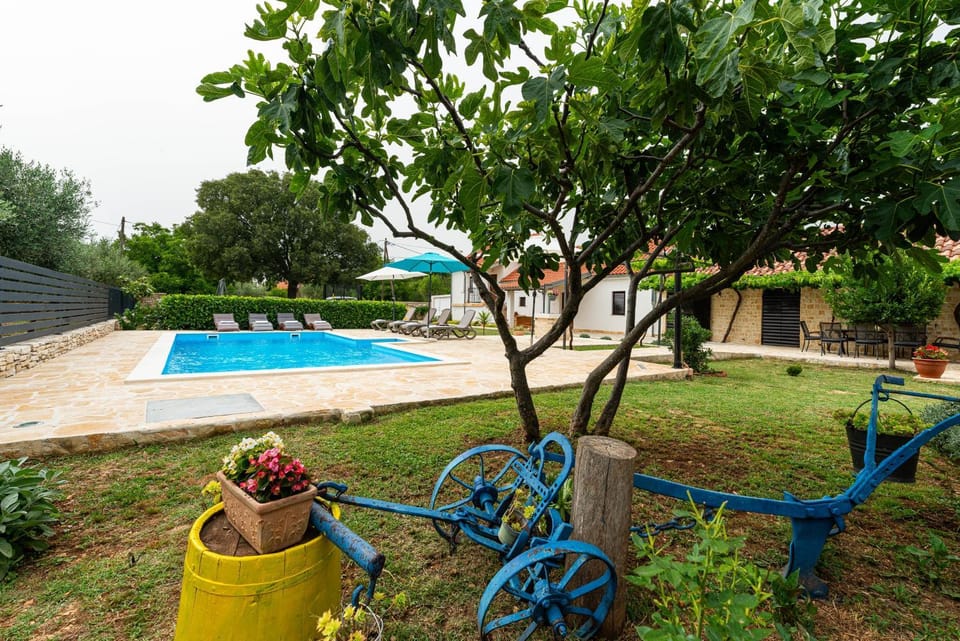 Patio, Day, Garden, Garden view, Pool view, Swimming pool, sunbed