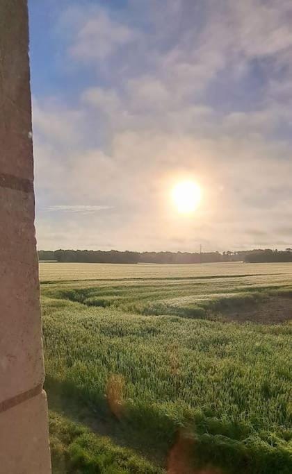 Garden, Sunrise