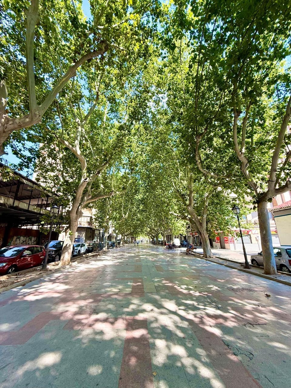 Apartamento en el Paseo de Oliva Apartment in Safor