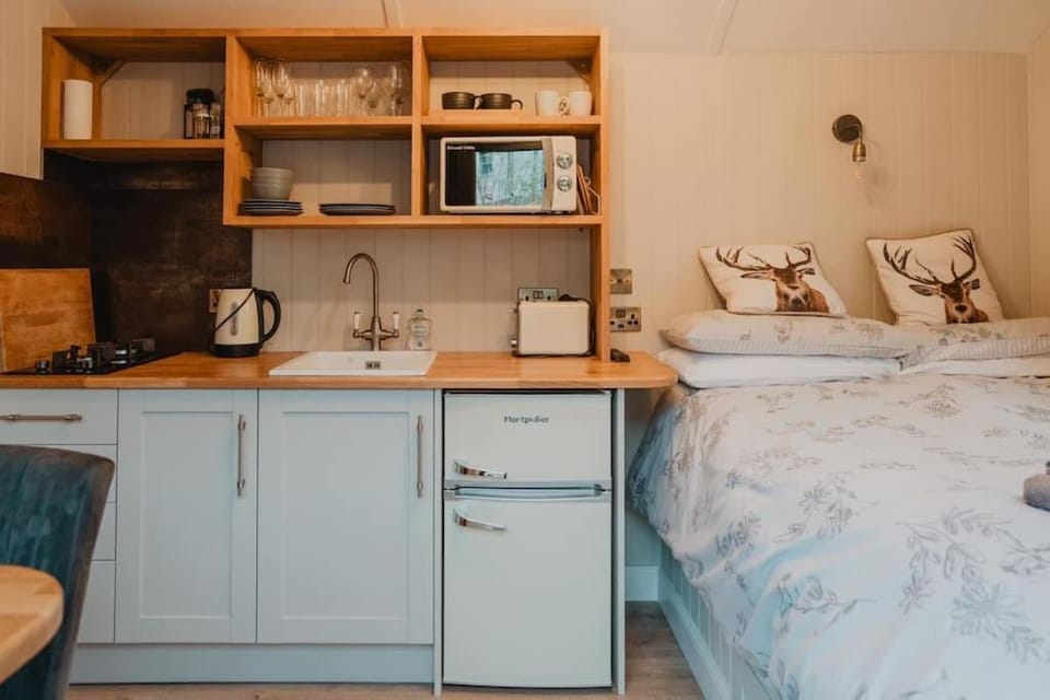 Kitchen or kitchenette, Photo of the whole room