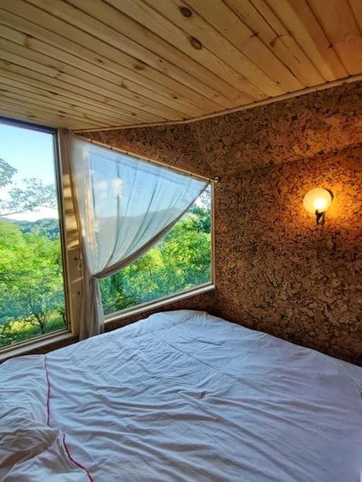 Bed, Natural landscape, Photo of the whole room, Bedroom