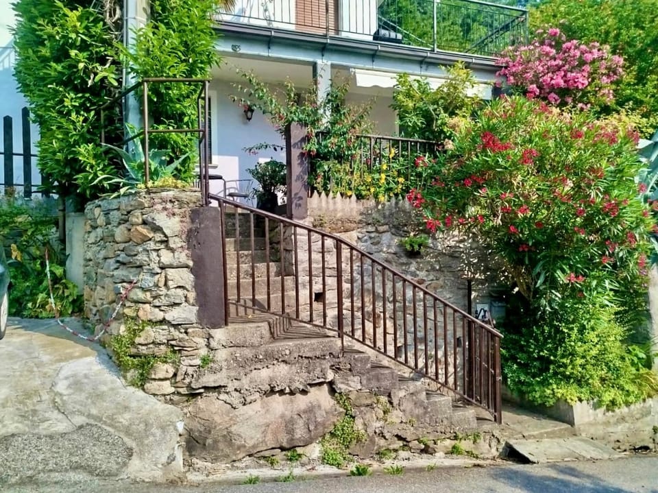 Property building, Garden view