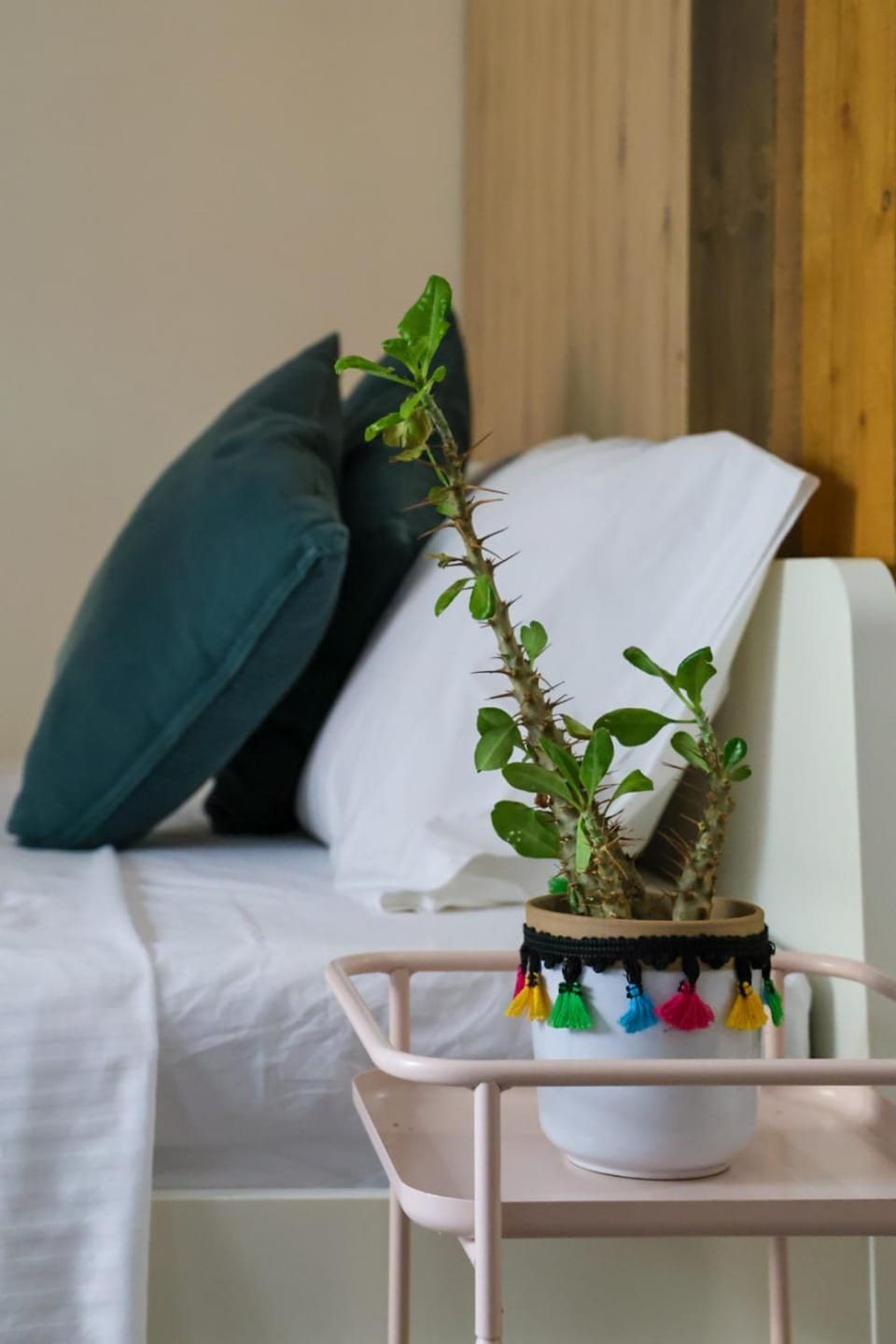 Filena's Cozy Studio Apartment in Athens