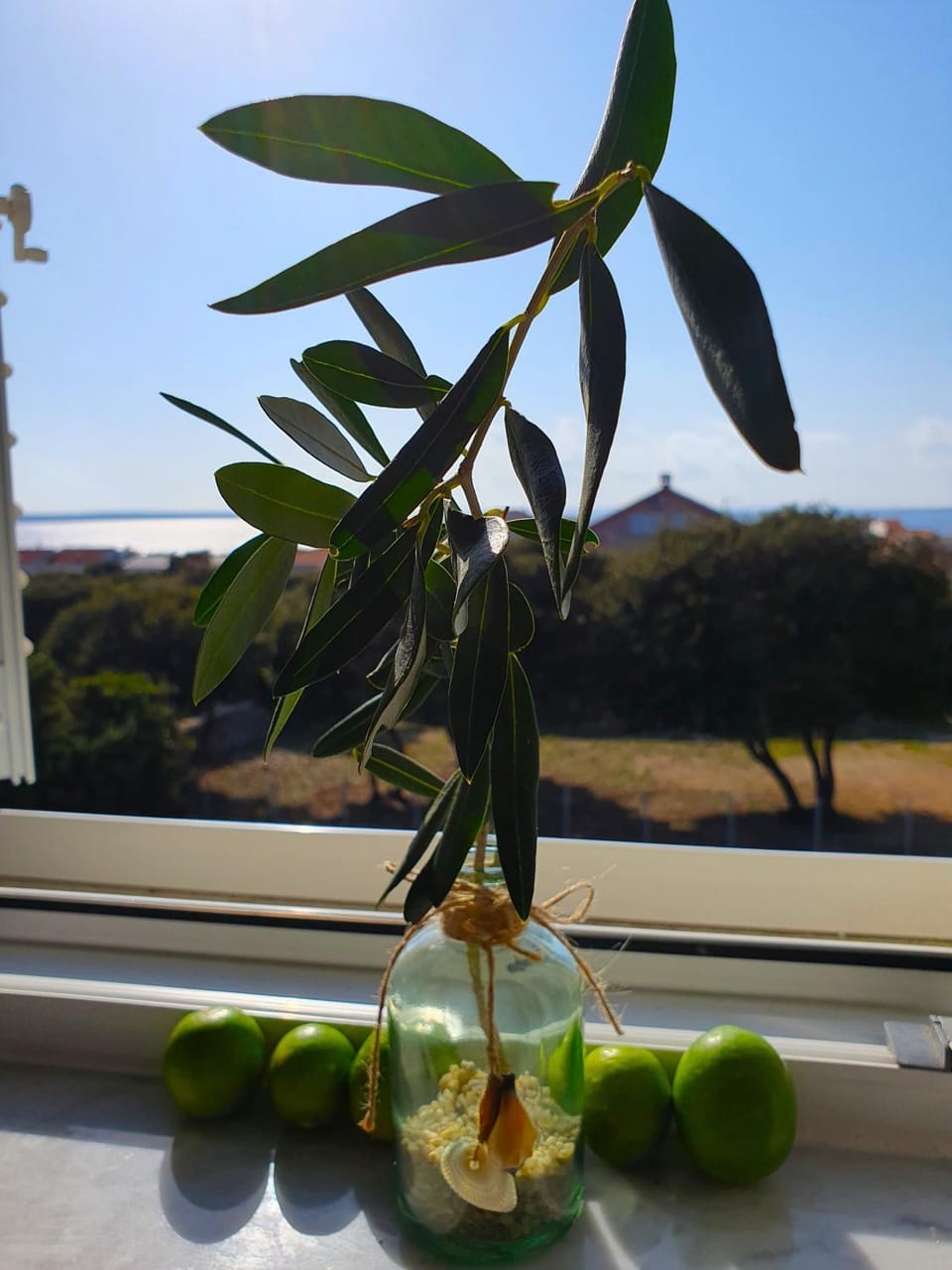 Green Olive Apartment in Novalja