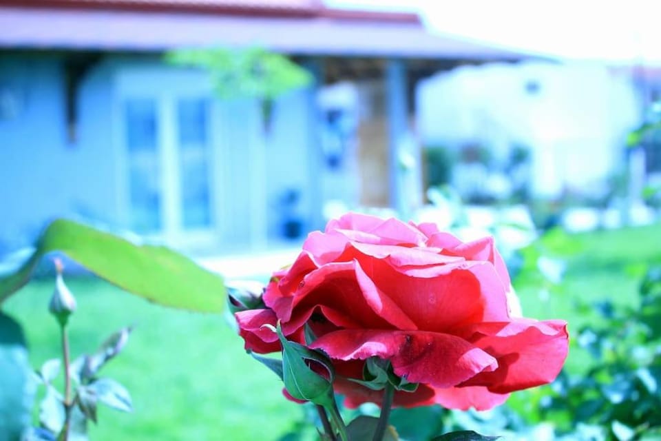 Πολυτελές εξοχικό σπίτι House in Halkidiki