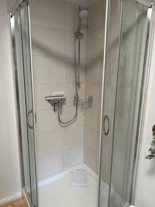 Maurine im alten Speicher Apartment in Lubeck