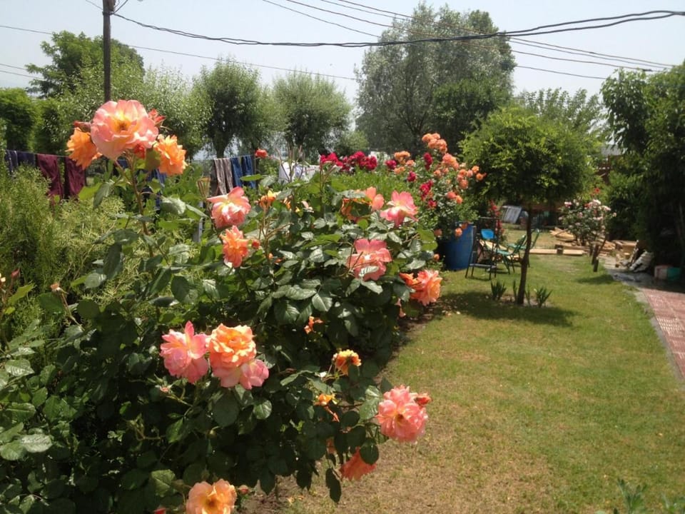 Garden, Garden