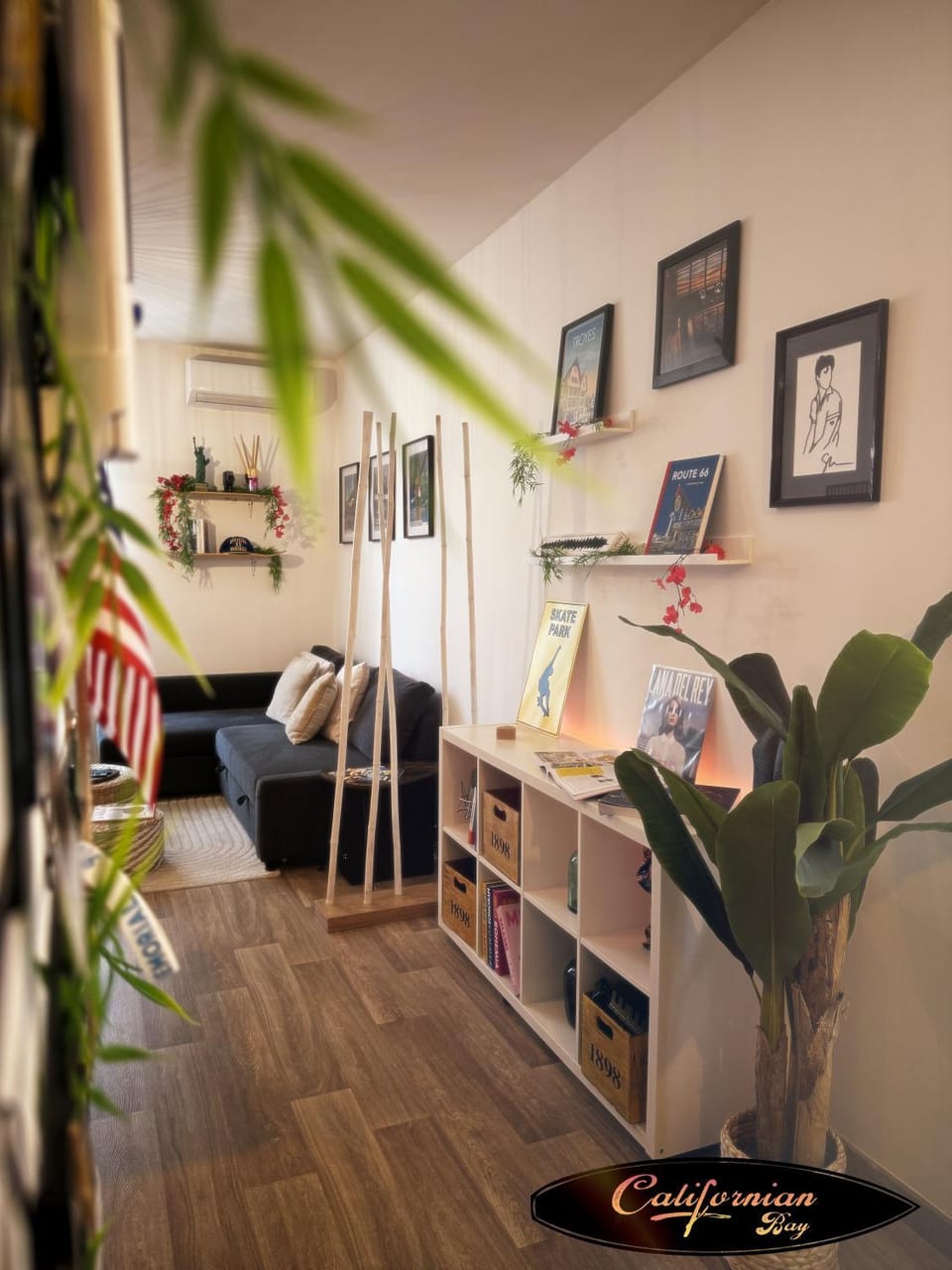 Library, Living room