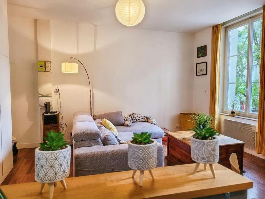 Le Cosy sur cour - T3 Hypercentre Angers Apartment in Angers