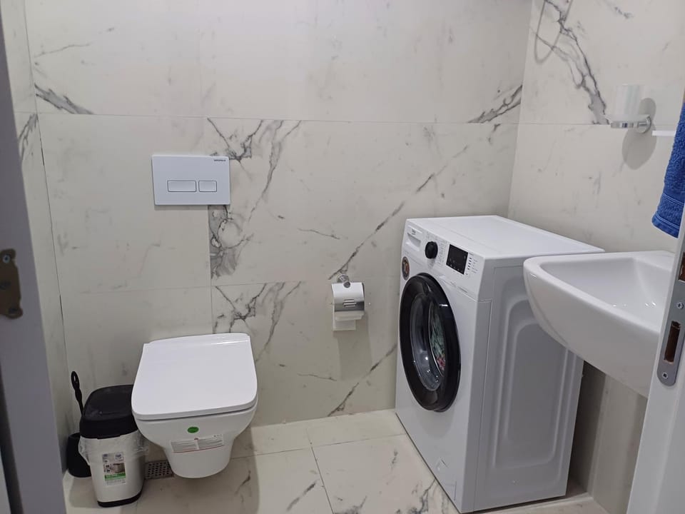 Toilet, Bathroom, washing machine