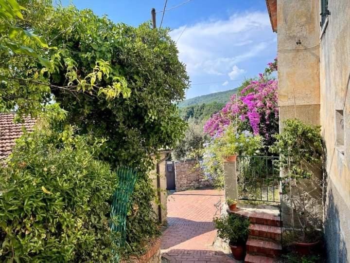 La Prua di Montemarcello Apartment in Province of Massa and Carrara