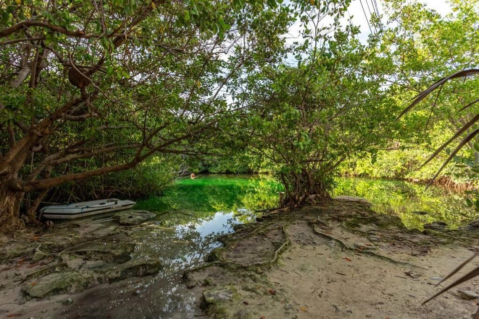 Luxury Beachfront Getaway Tankah Bay Apartment in State of Quintana Roo
