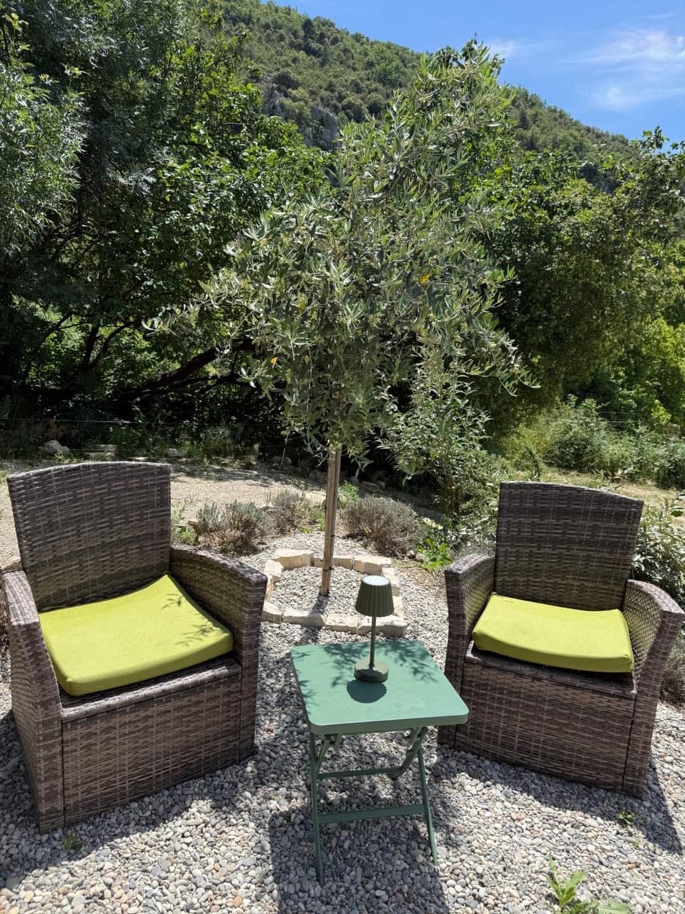 Garden view