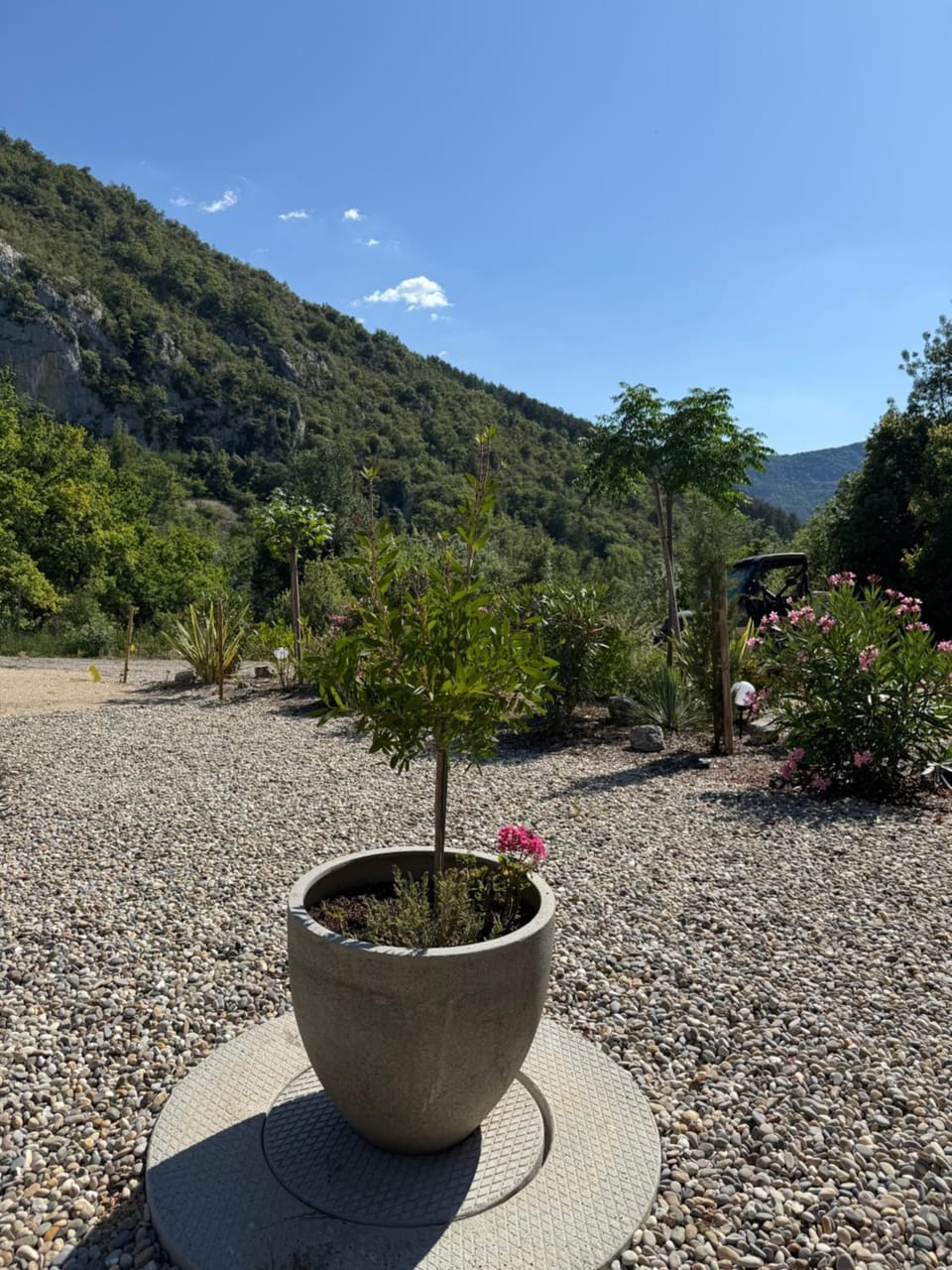 Property building, Garden