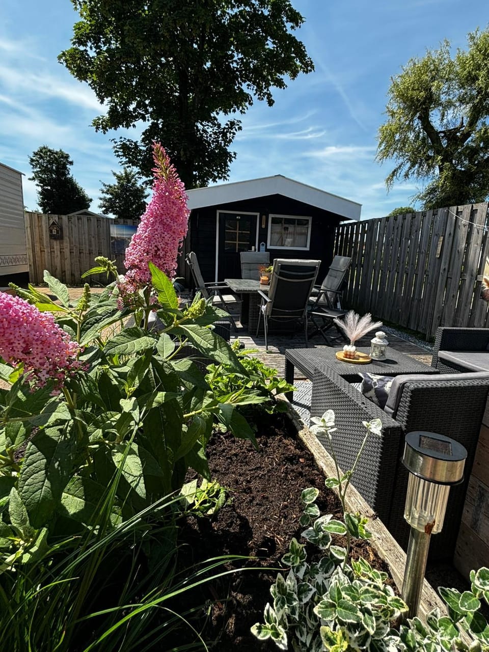 Day, Garden, Garden