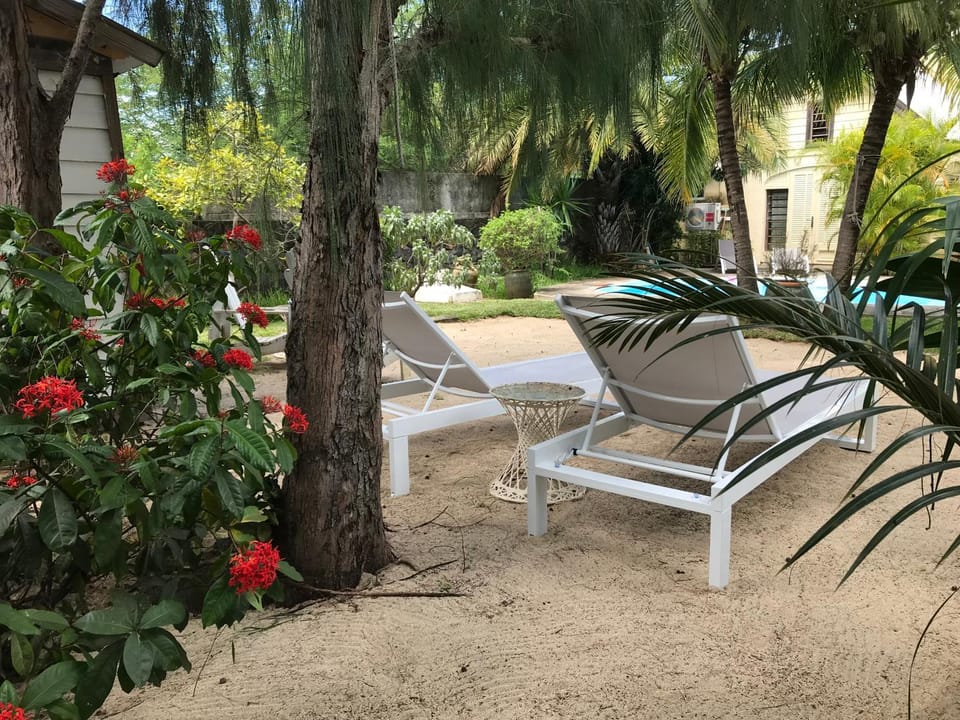 Garden view, sunbed