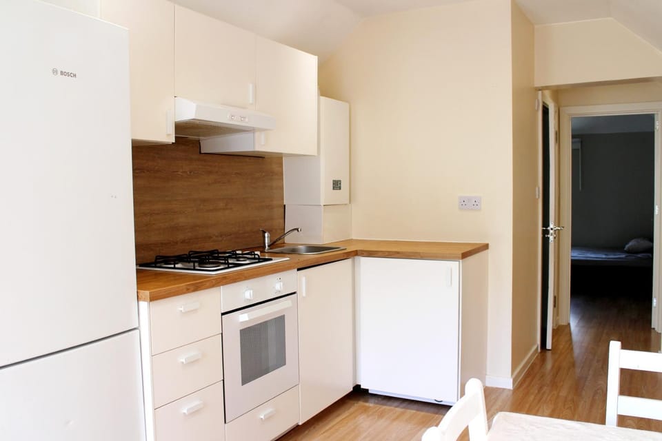 Kitchen or kitchenette, oven, stove