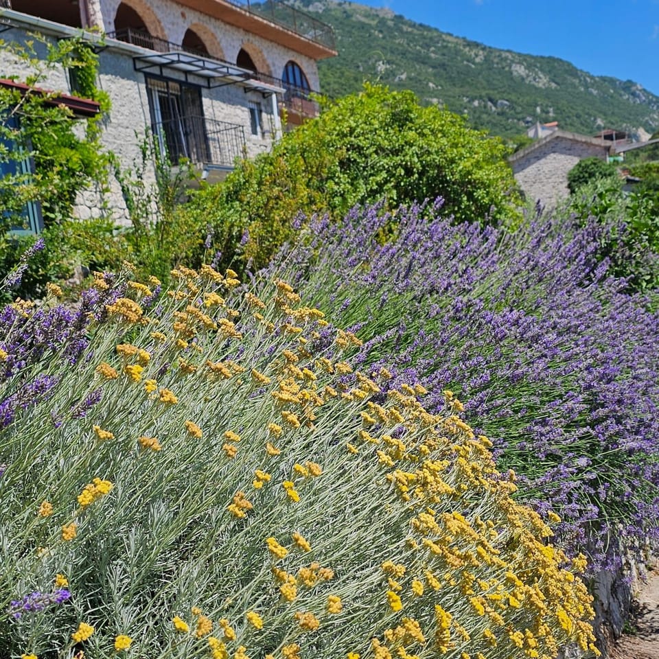 Stonehouse Mimi Apartment in Budva Municipality