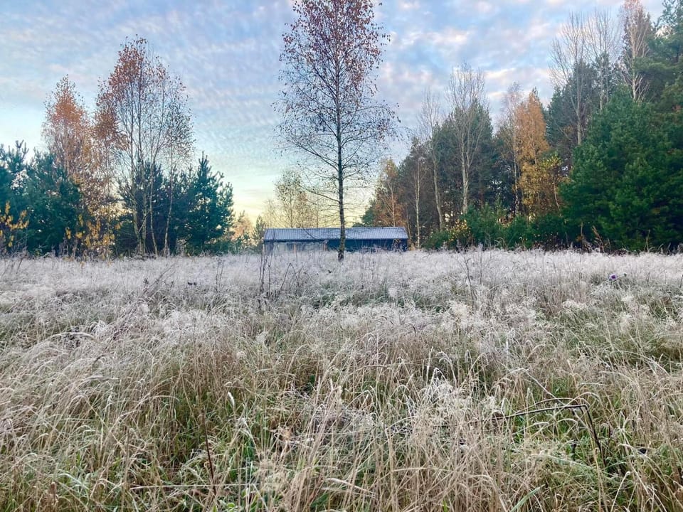 Przystanek Naglady Warmia- całoroczny, duża leśna działka House in Poland