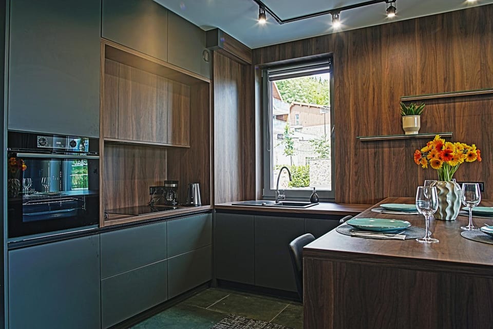 Kitchen or kitchenette, Dining area, oven, stove