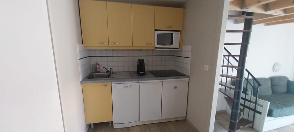 Studio mezzanine golf St cyprien Apartment in Saint-Cyprien