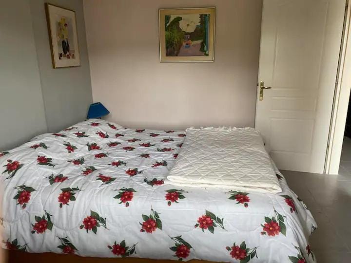 Μικρο διαμερισμα Πιτσουλη 47 Apartment in Halkidiki