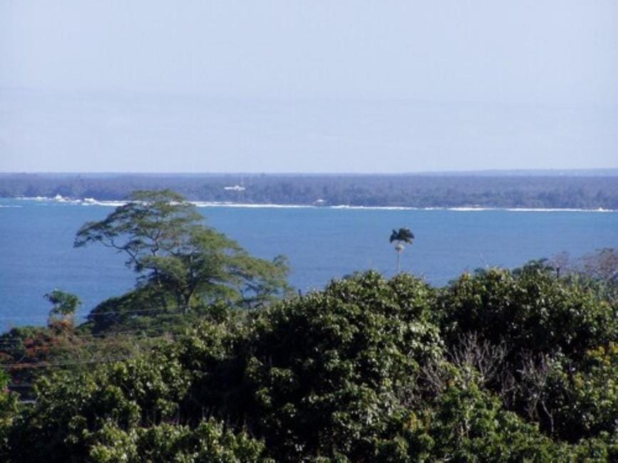 Island Goode's - Luxury Adult Only Accommodation near Hilo Bed and Breakfast in Papaikou