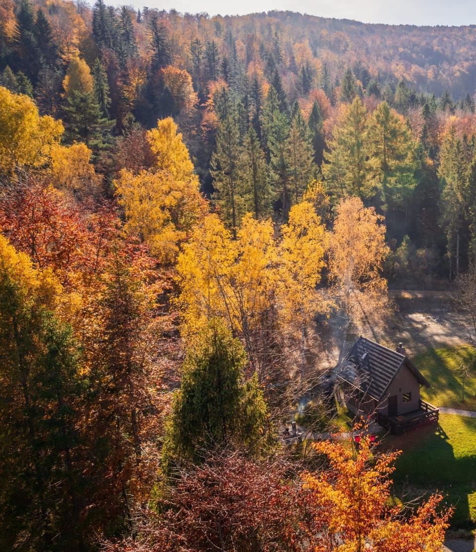 Day, Natural landscape, Bird's eye view, Garden view