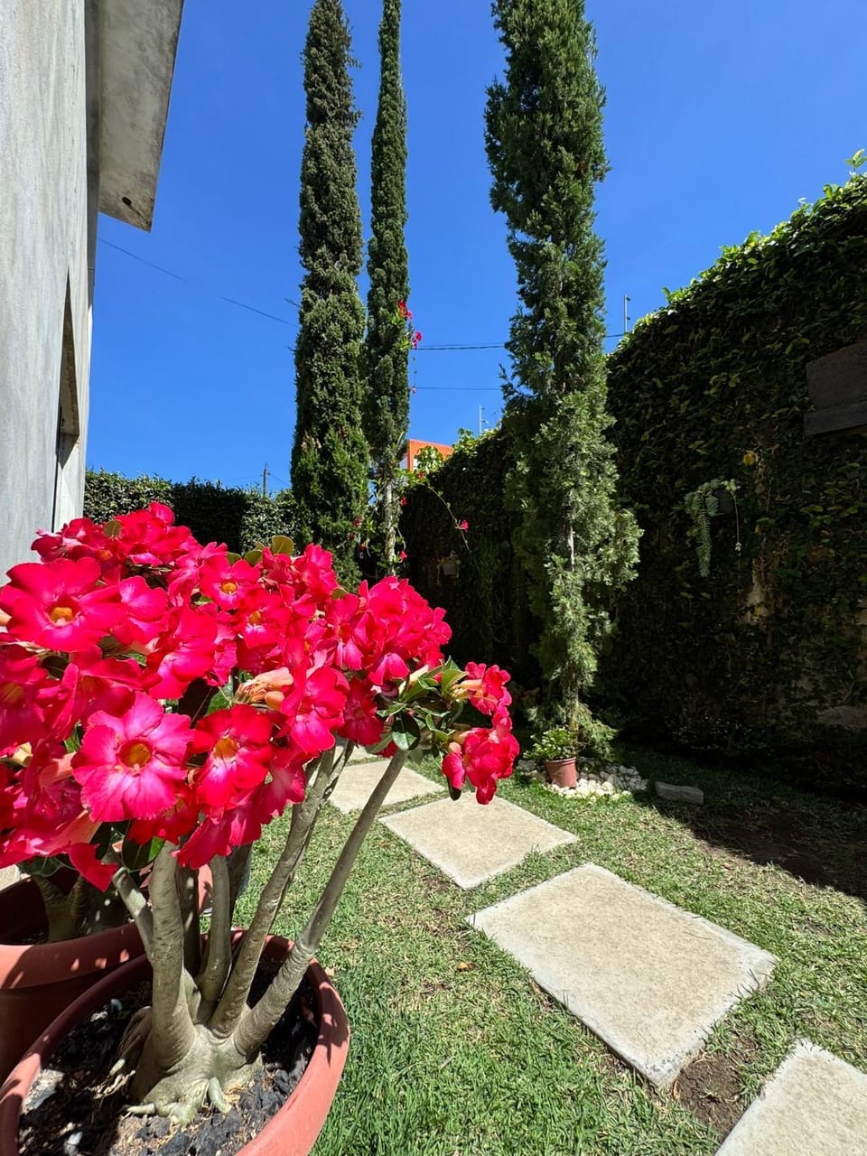 Flat Garoa Recanto Florah Apartment in State of Alagoas, Brazil