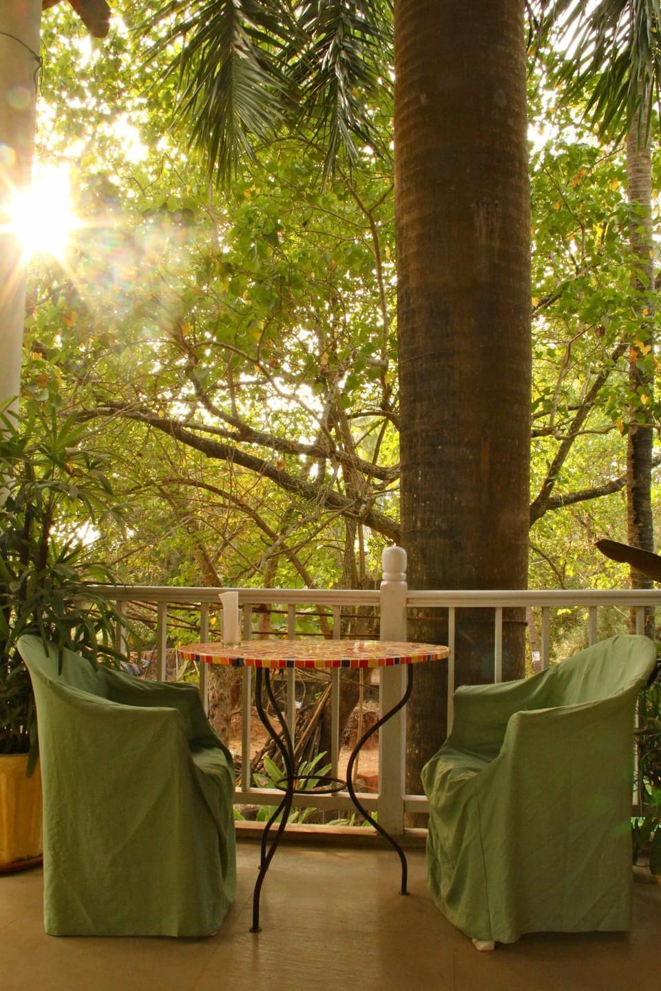 Patio, Day
