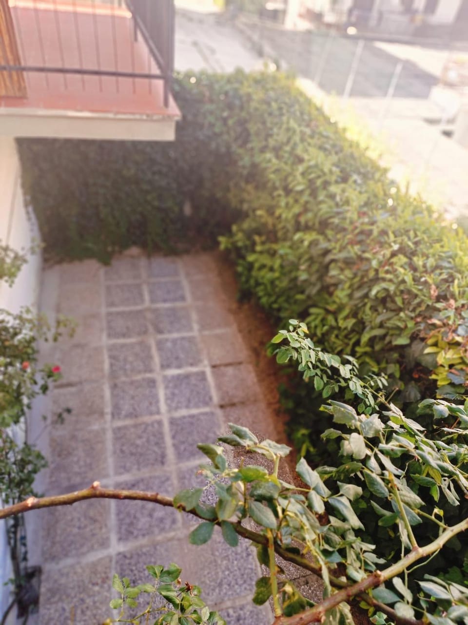 Spring, Day, Garden, Garden view