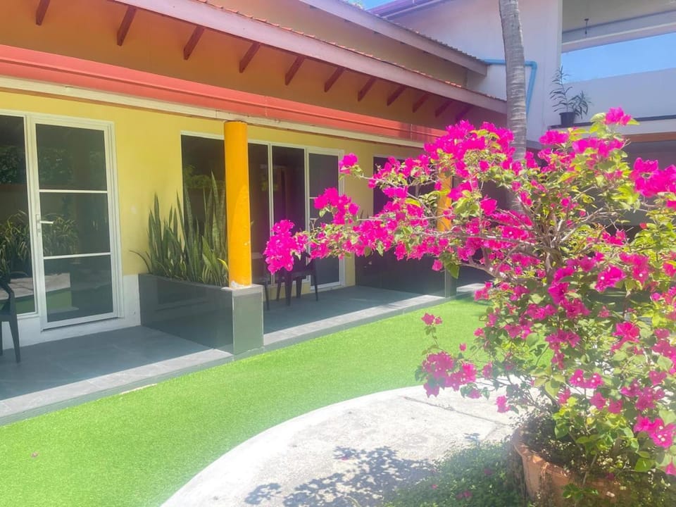 Garden, Garden, Garden view, Garden view