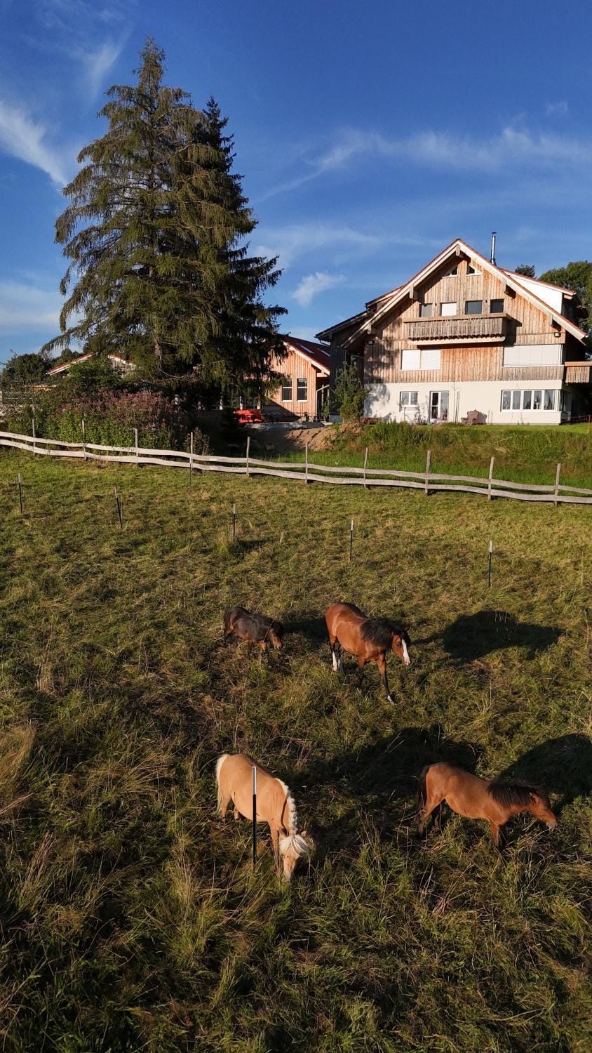 Nearby landmark, Restaurant/places to eat, Natural landscape, Winter, Summer, BBQ facilities, Children play ground, TV and multimedia, Hiking, Animals, Autumn, Guests, Guests, Seasons, Sunset, Family, Family, Family, fireplace, laundry