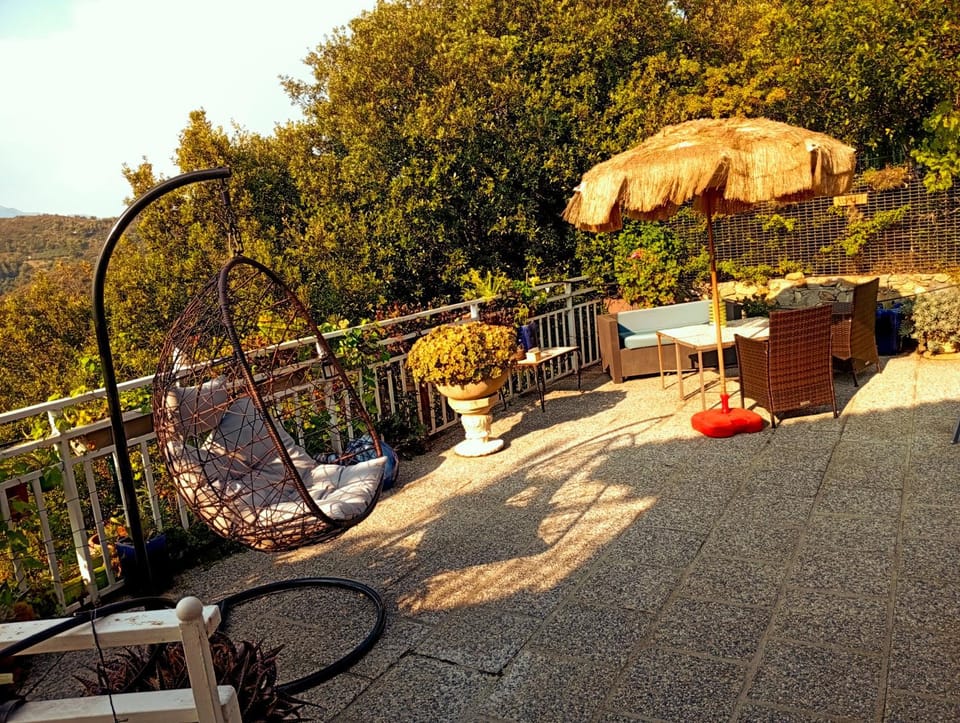 Patio, Mountain view