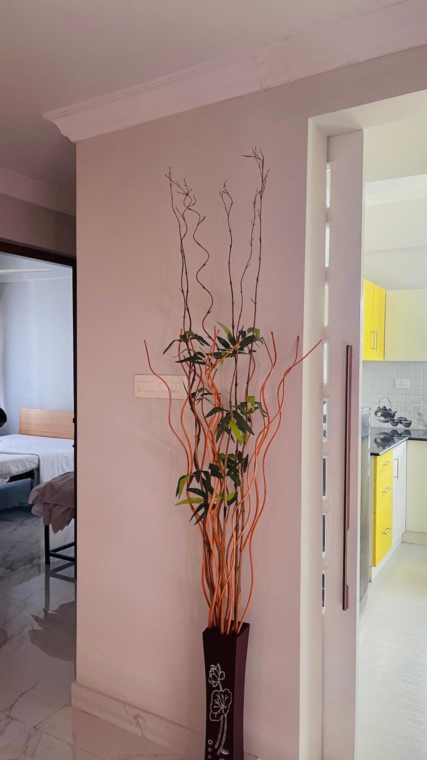 Rajamandiram 3BHK AC,Near Sree Padmanabhaswamy Temple, Trivandrum Central Apartment in Thiruvananthapuram