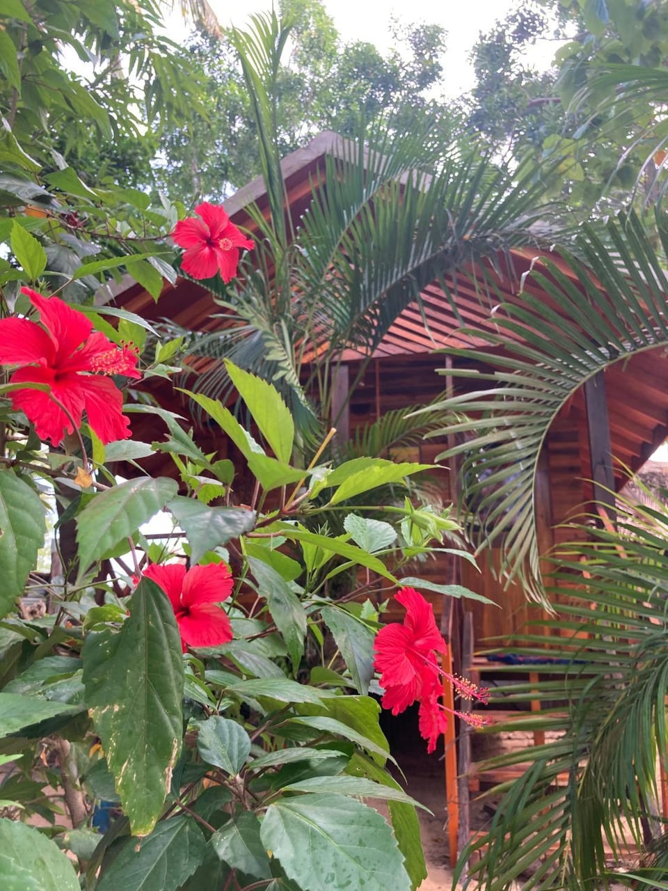 River Point Apartment in Sri Lanka