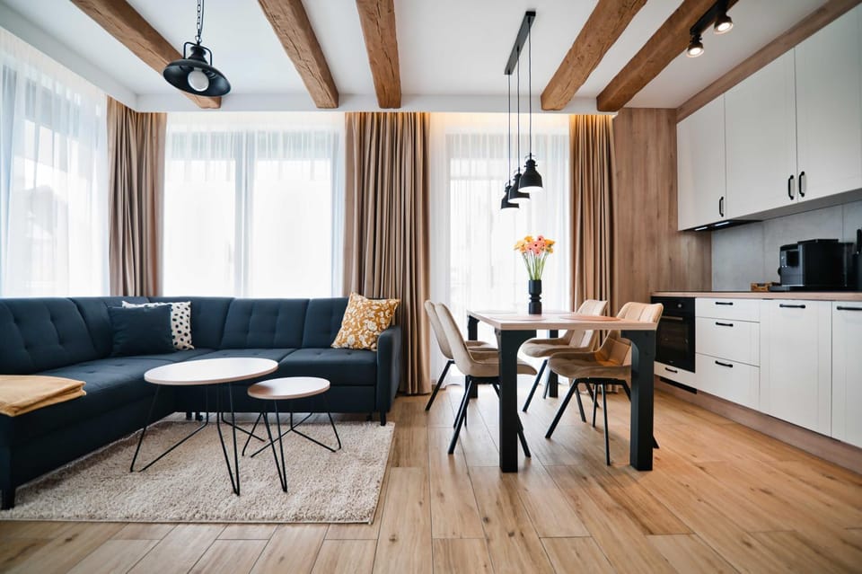Kitchen or kitchenette, Living room, Seating area, Dining area, stove