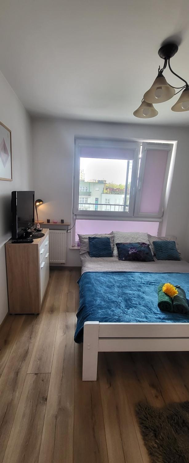 Bed, TV and multimedia, Photo of the whole room, Evening entertainment, Bedroom