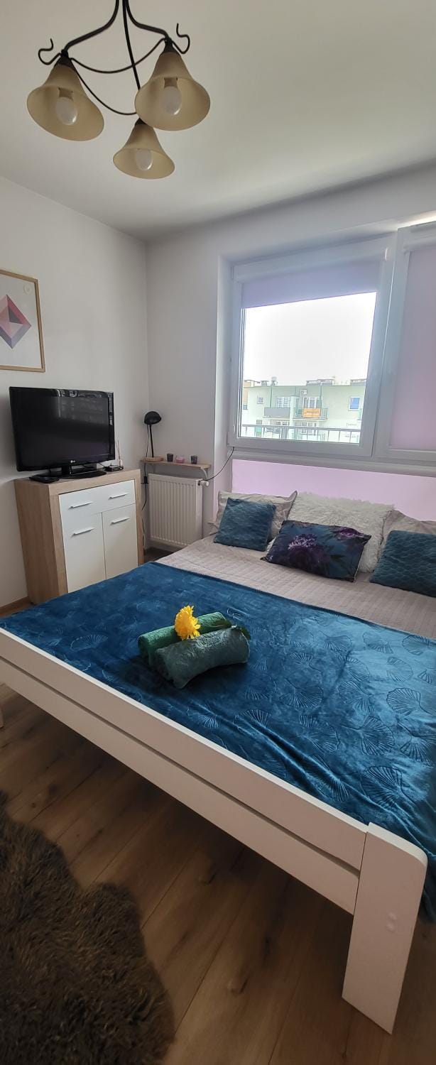 TV and multimedia, Photo of the whole room, Bedroom