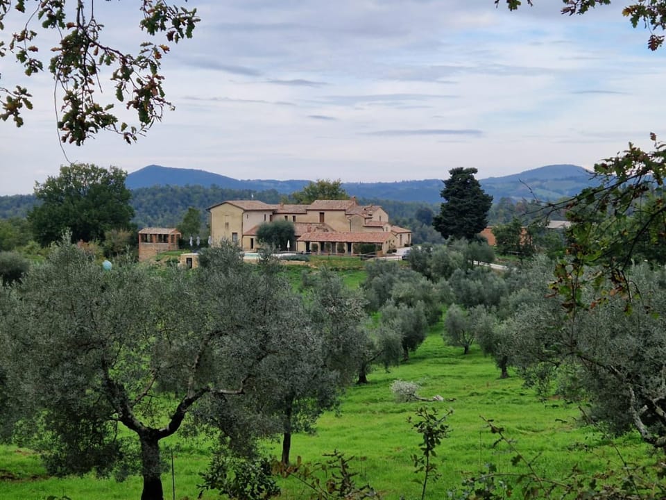 Property building, Natural landscape