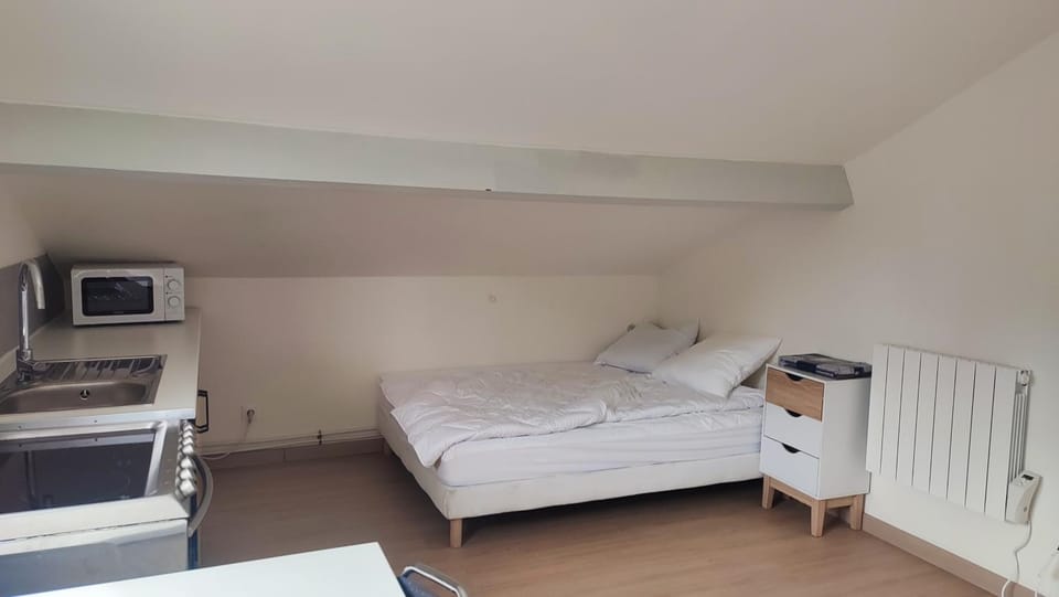 Studio Pour Une deux Personnes Apartment in Saint-Denis, France