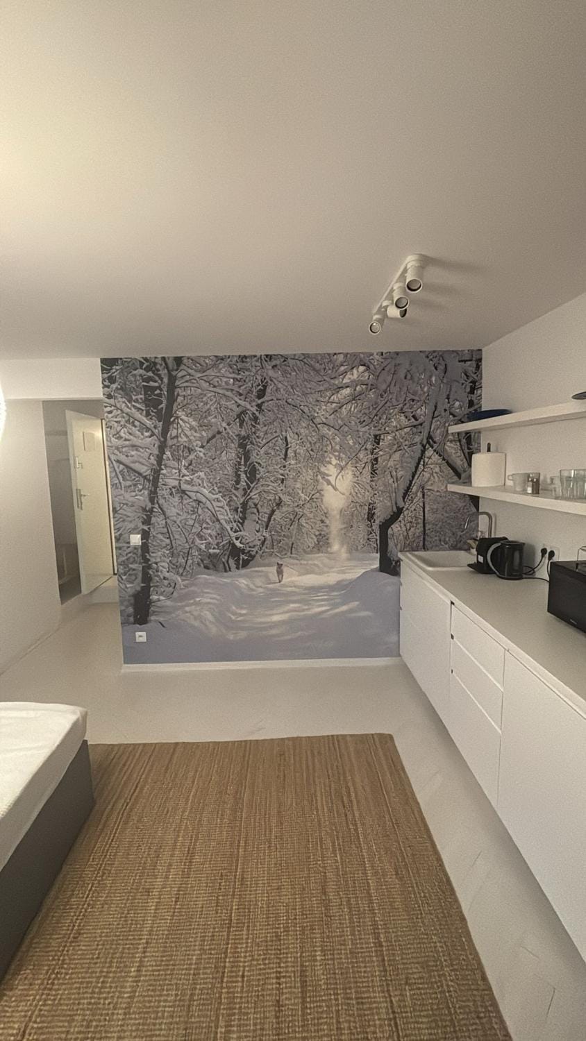 Bed, Photo of the whole room, kitchen