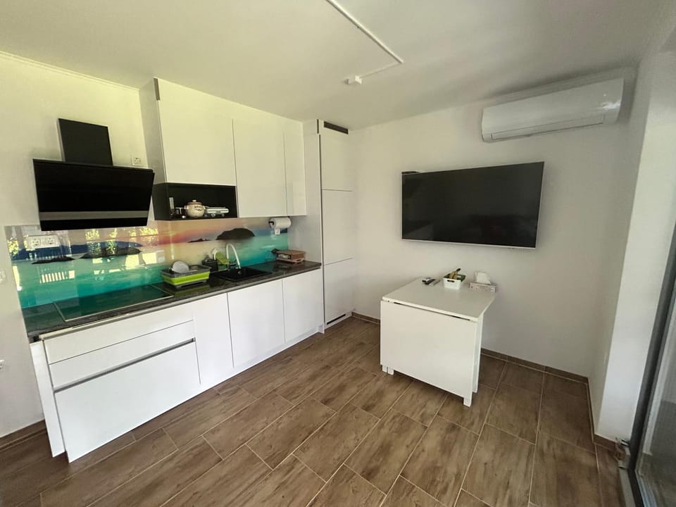 TV and multimedia, Kitchen or kitchenette, Living room, Dining area, dishwasher, stove