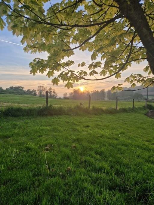 Garden view, Sunset