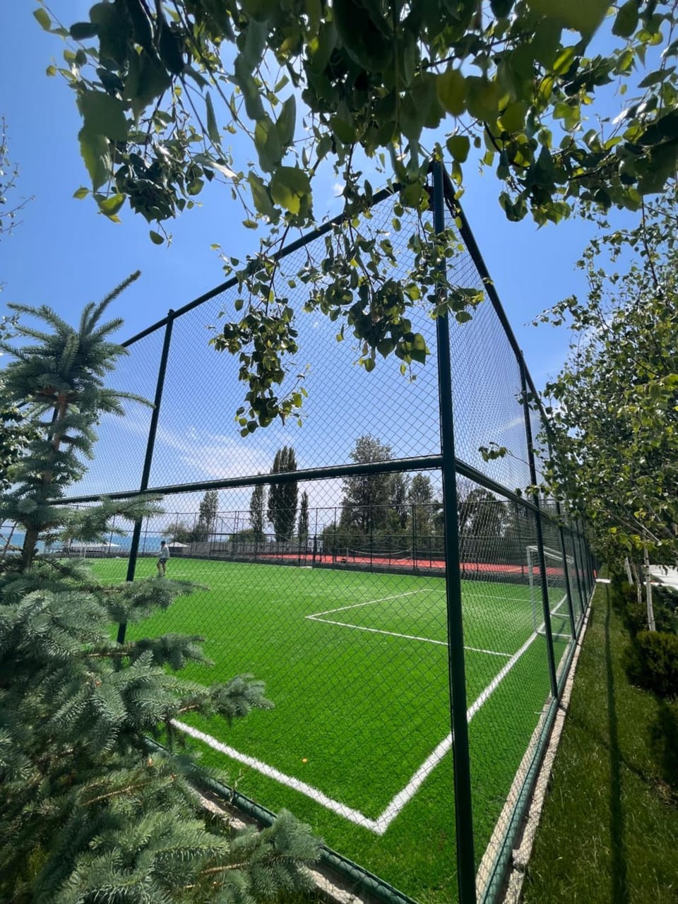 Tennis court