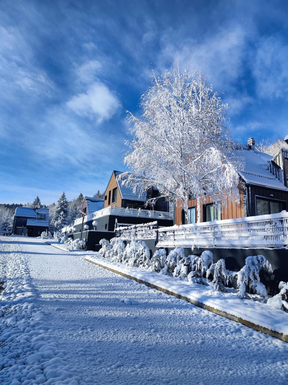 Day, Natural landscape, Winter