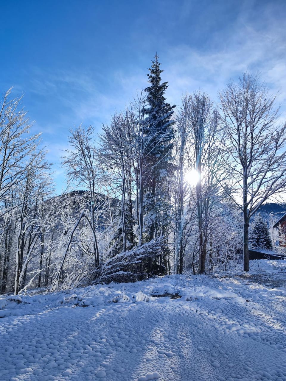 Day, Natural landscape, Winter