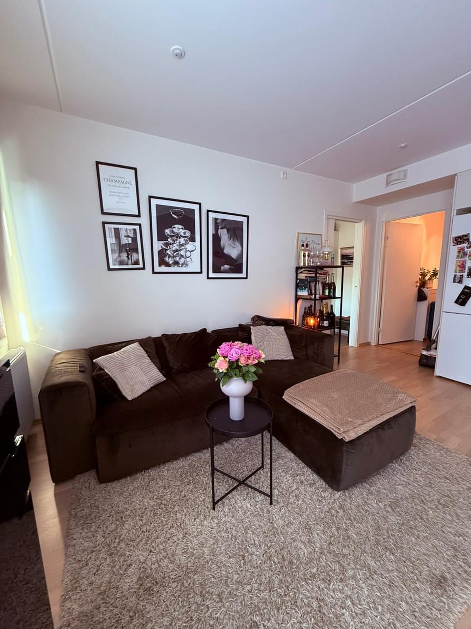 Moderne leilighet i Lørenveien Apartment in Oslo
